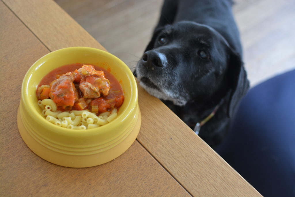 犬の手作りごはん「鳥もも肉とトマトの煮込み」