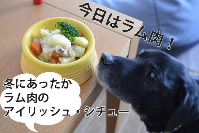 犬の手作りごはん 冬はラム肉で アイリッシュ シチュー 犬の手作りごはんを学ぶ 犬ごはんライフ 犬の手作りごはん 冬はラム肉で アイリッシュ シチュー 犬の手作りごはんを学ぶ 犬ごはんライフ